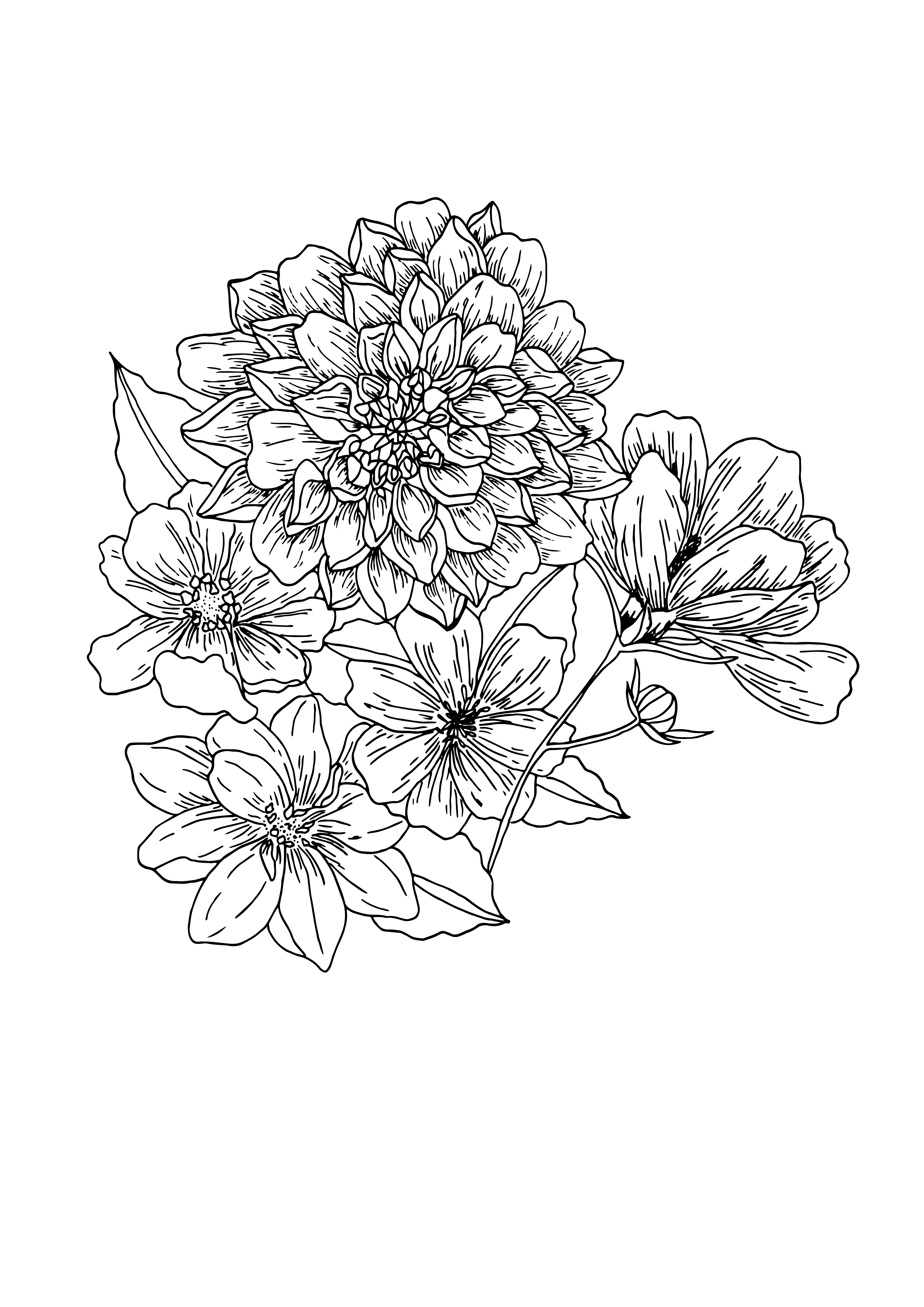 Zamavi Prints Logo